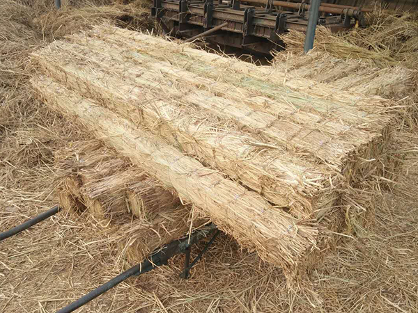 使用條形草支墊，原來還有這些效果！