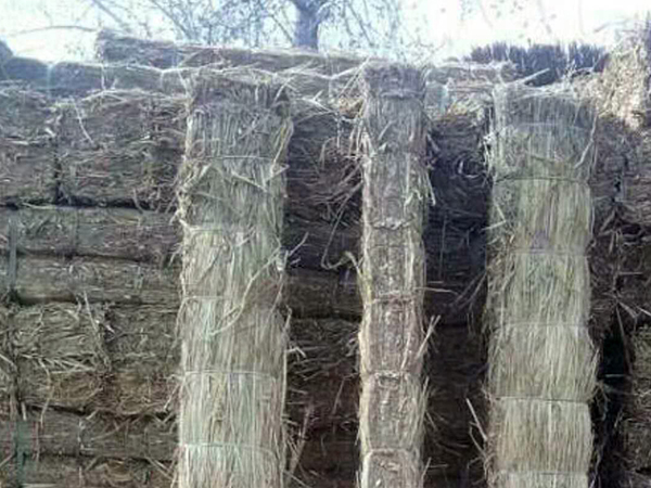 如何延長(zhǎng)條形草支墊使用壽命？