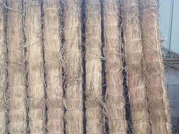 不會存儲草棒，建學草編來教你