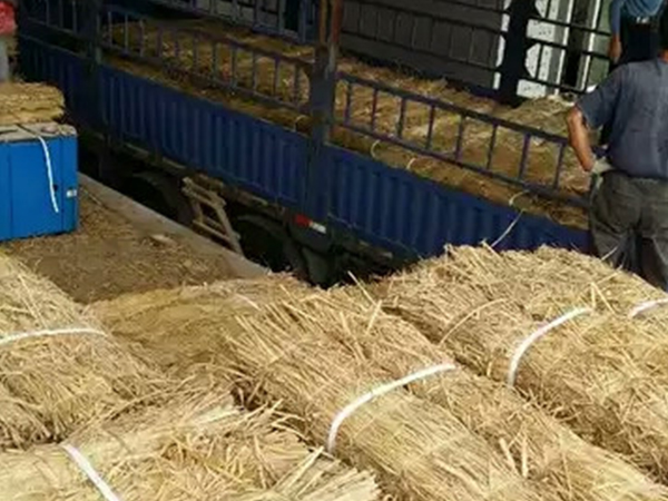 條形草支墊在使用期間要注意哪些問題？